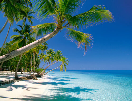 Maldive è meglio in Resort o in Guesthouse?